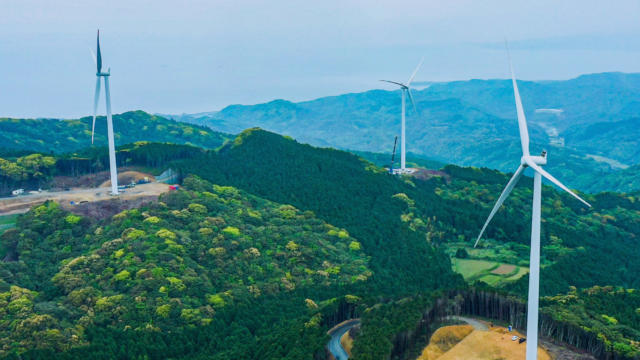 巨大的绿色福雷斯特，三个风力涡轮机耸立在景观上方